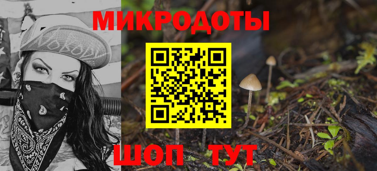 Галлюциногенные грибы Cubensis  Псилоцибиновые грибы прущие грибы  Мурино  Вход с VPN 